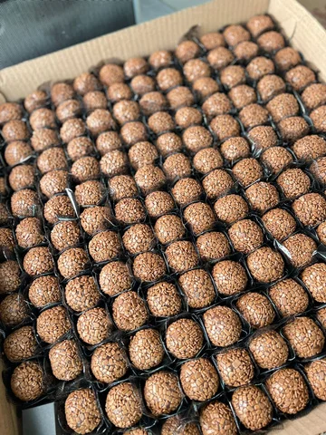 Bandeja com brigadeiros tradicionais da Maria Stela